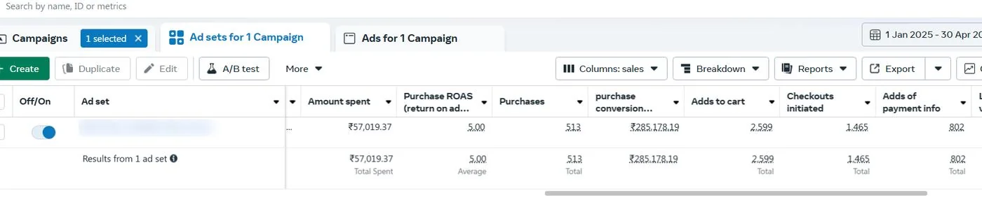 Best performing Ecofreaky ad set in Meta Ads Manager