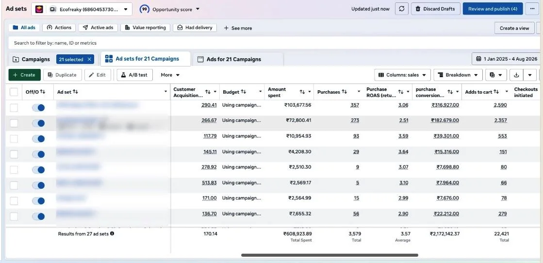Meta Ads Manager ad sets for Ecofreaky