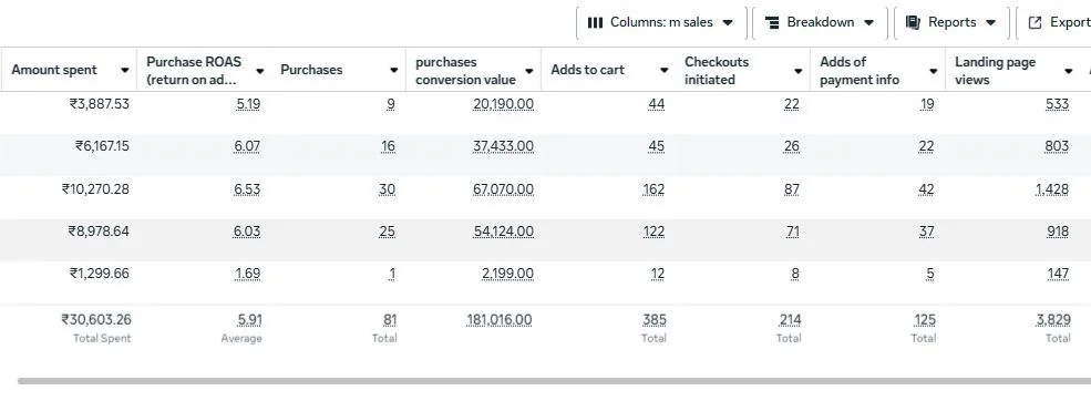 Meta Ads sales columns for Matri